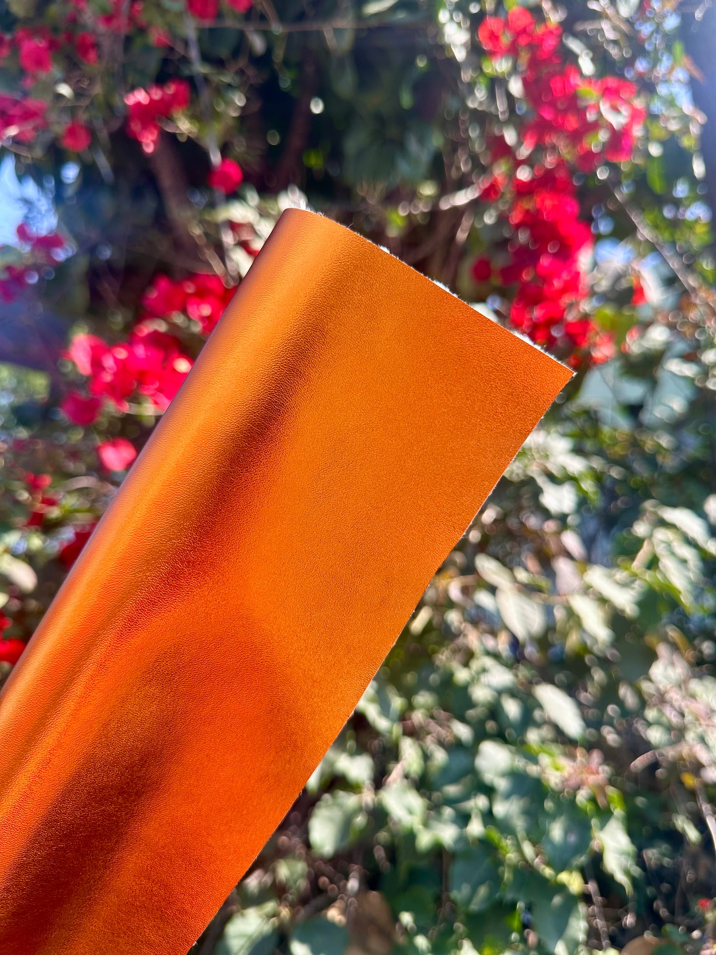 NAPA METALICA 2