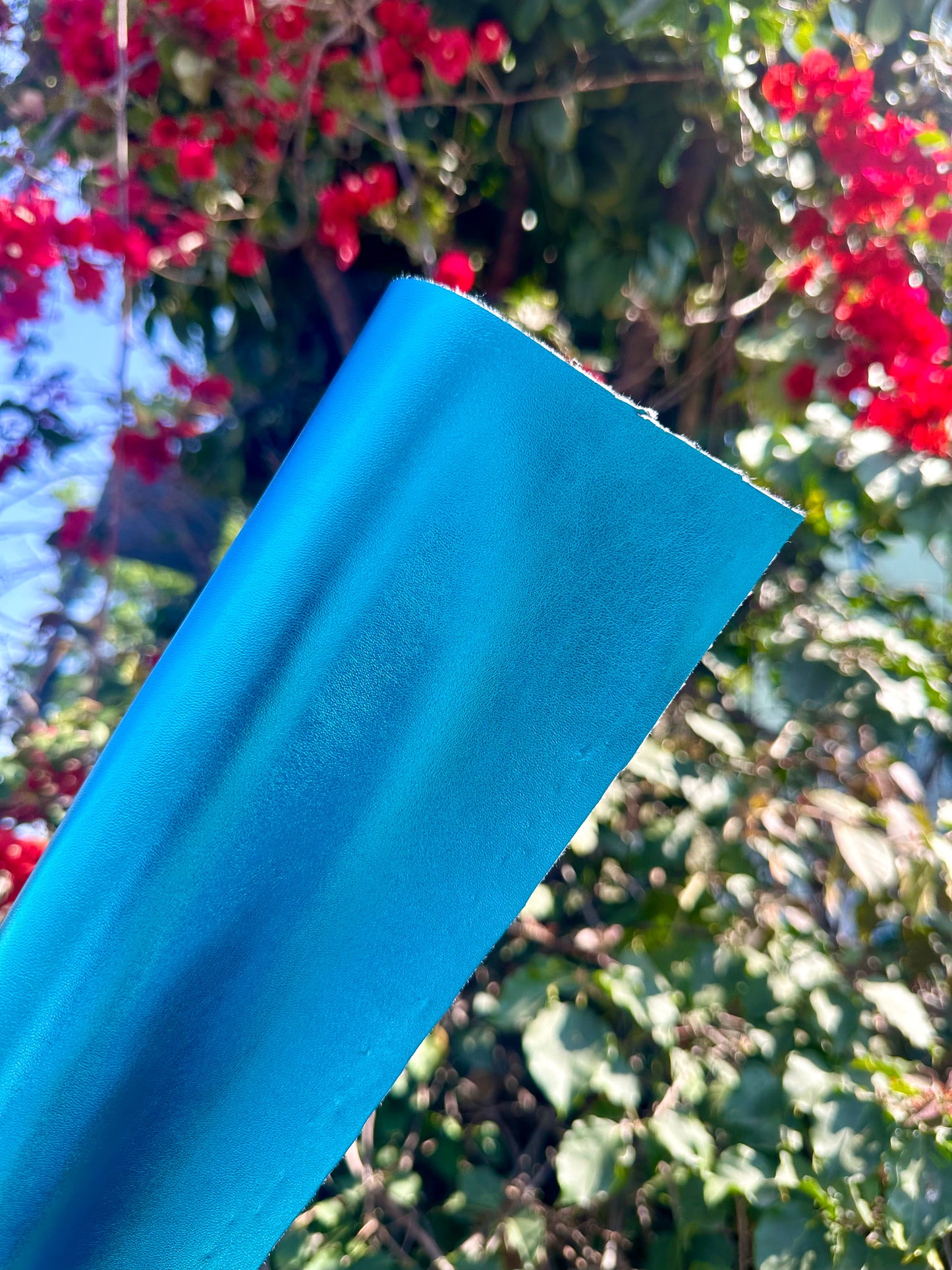 NAPA METALICA 2