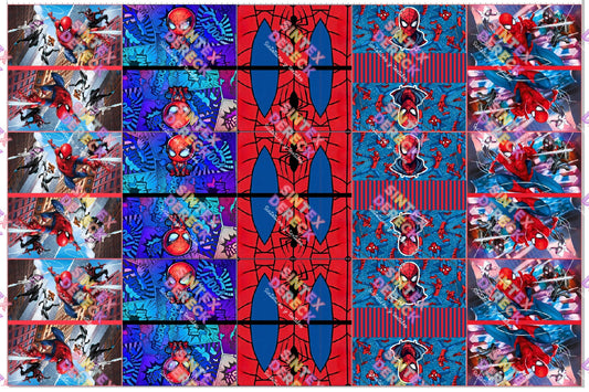 LIENZOS SPIDERMAN