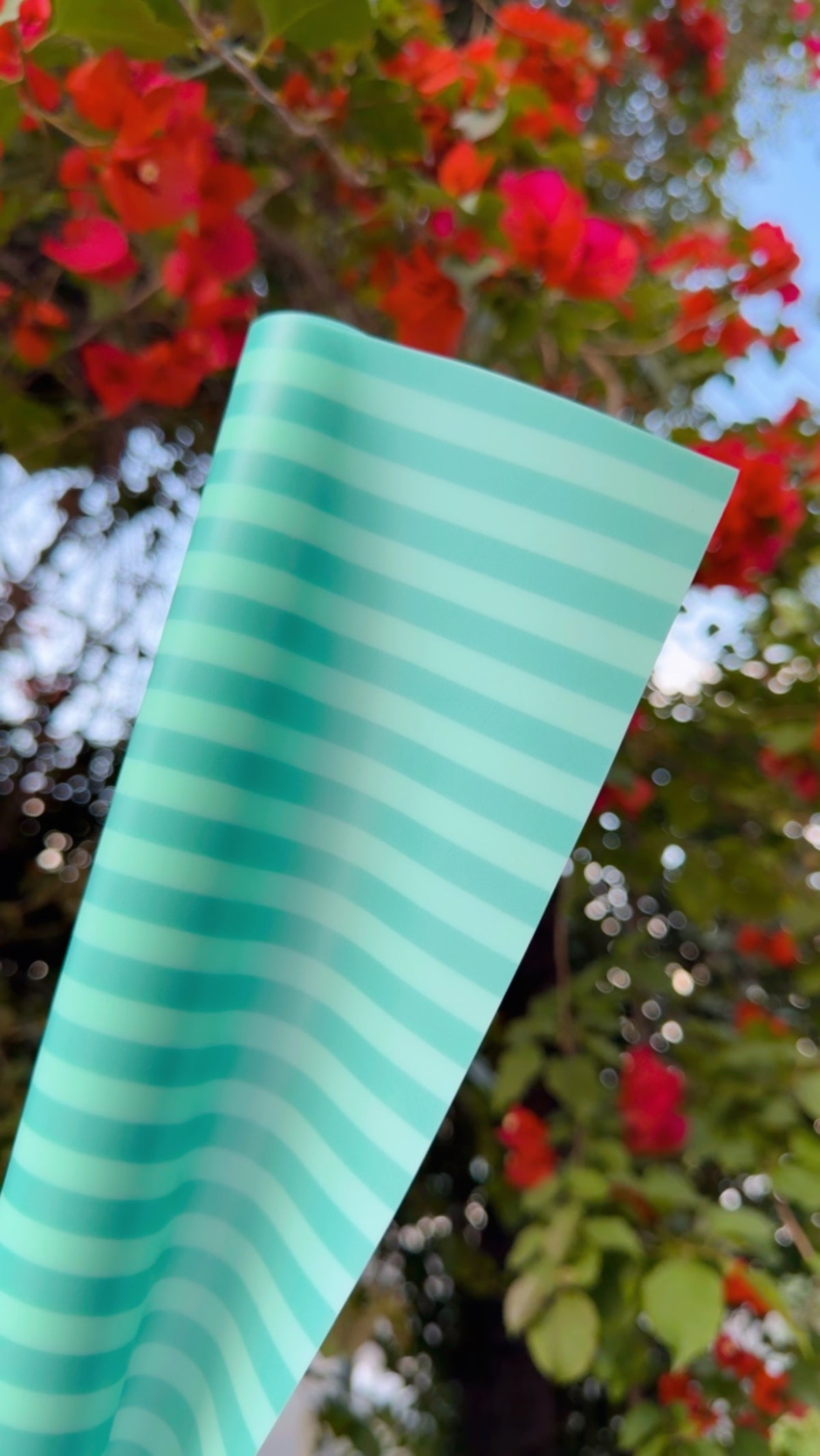 MICA GUMMY STRIPES
