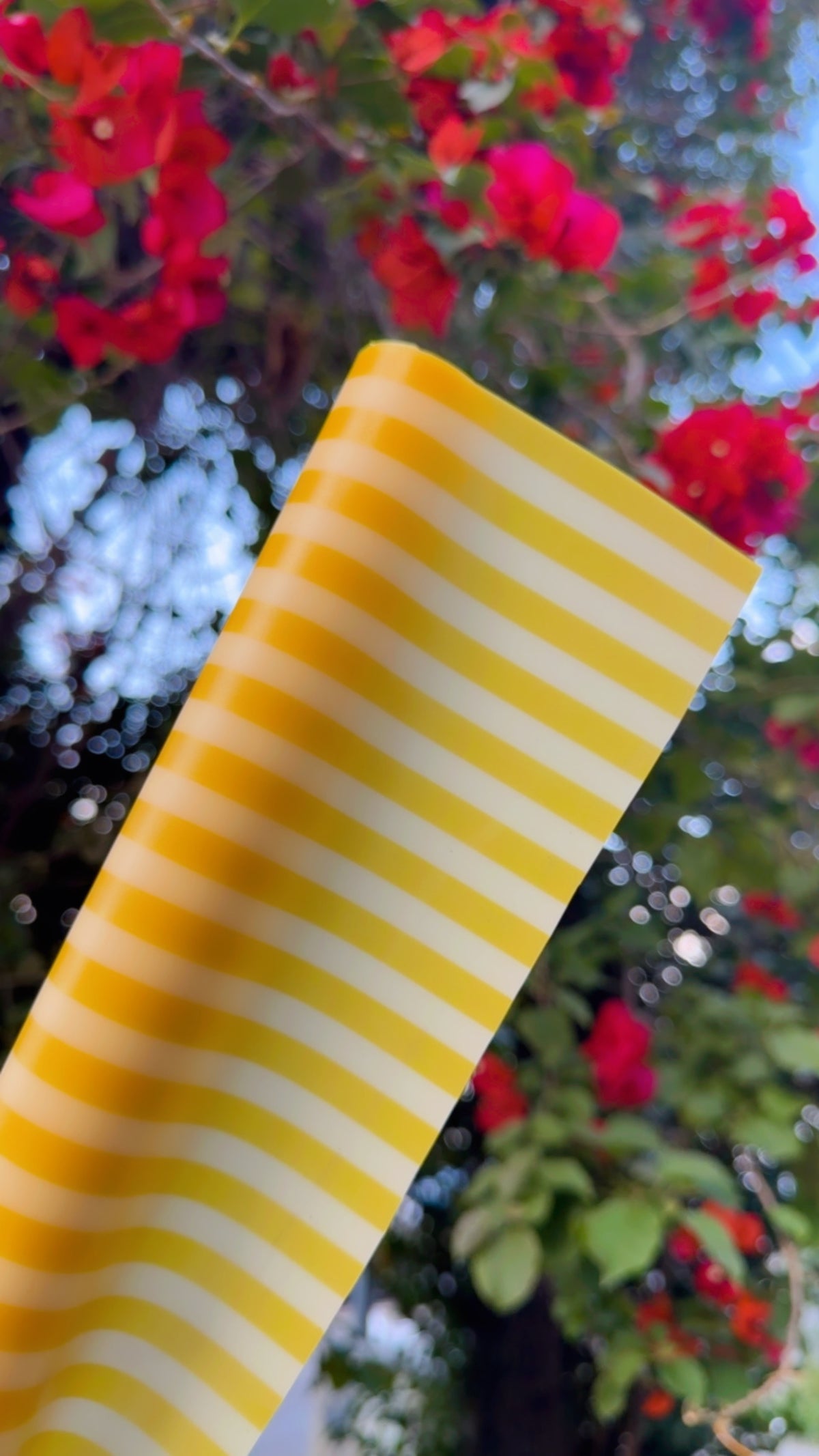 MICA GUMMY STRIPES