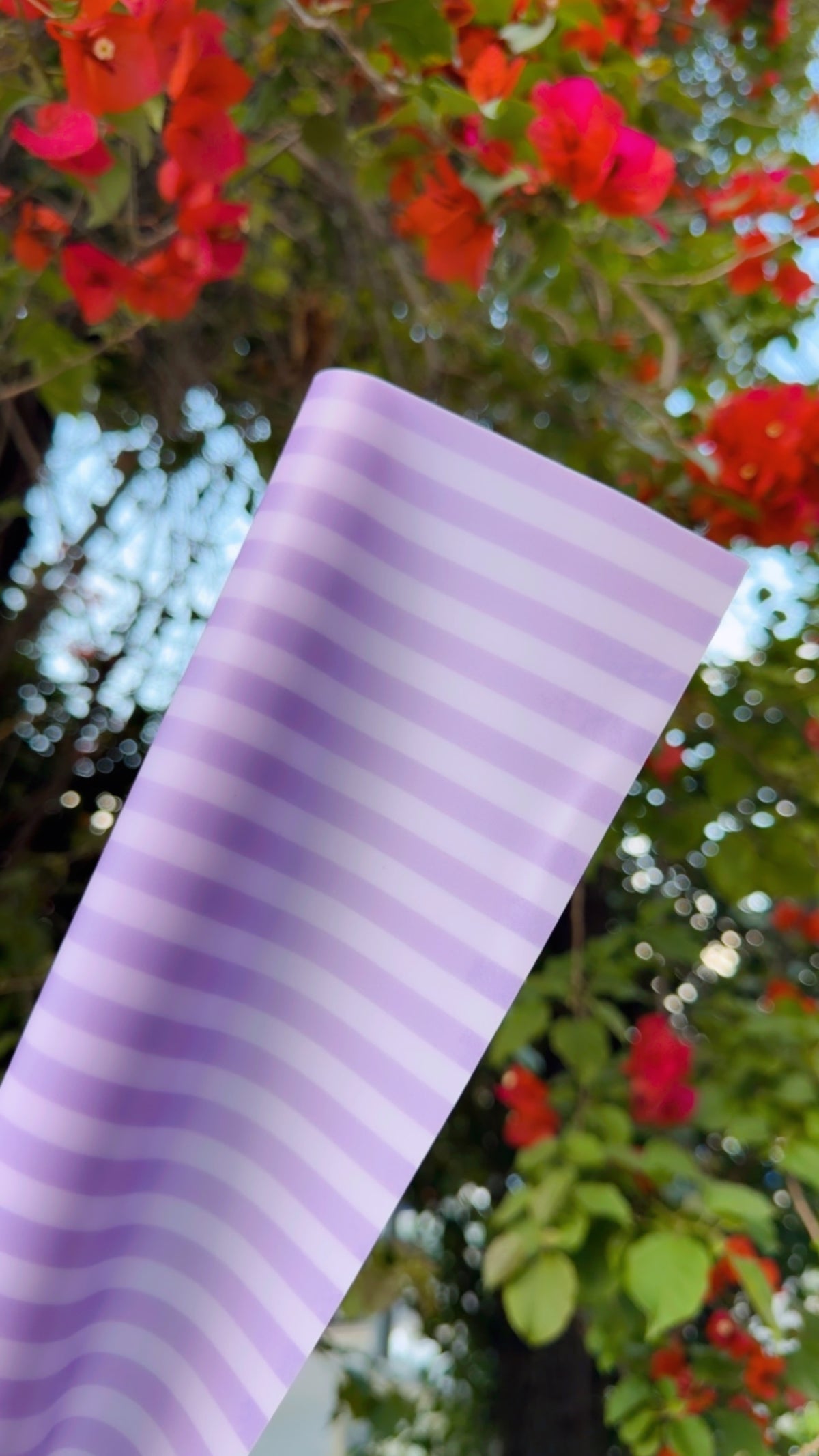 MICA GUMMY STRIPES