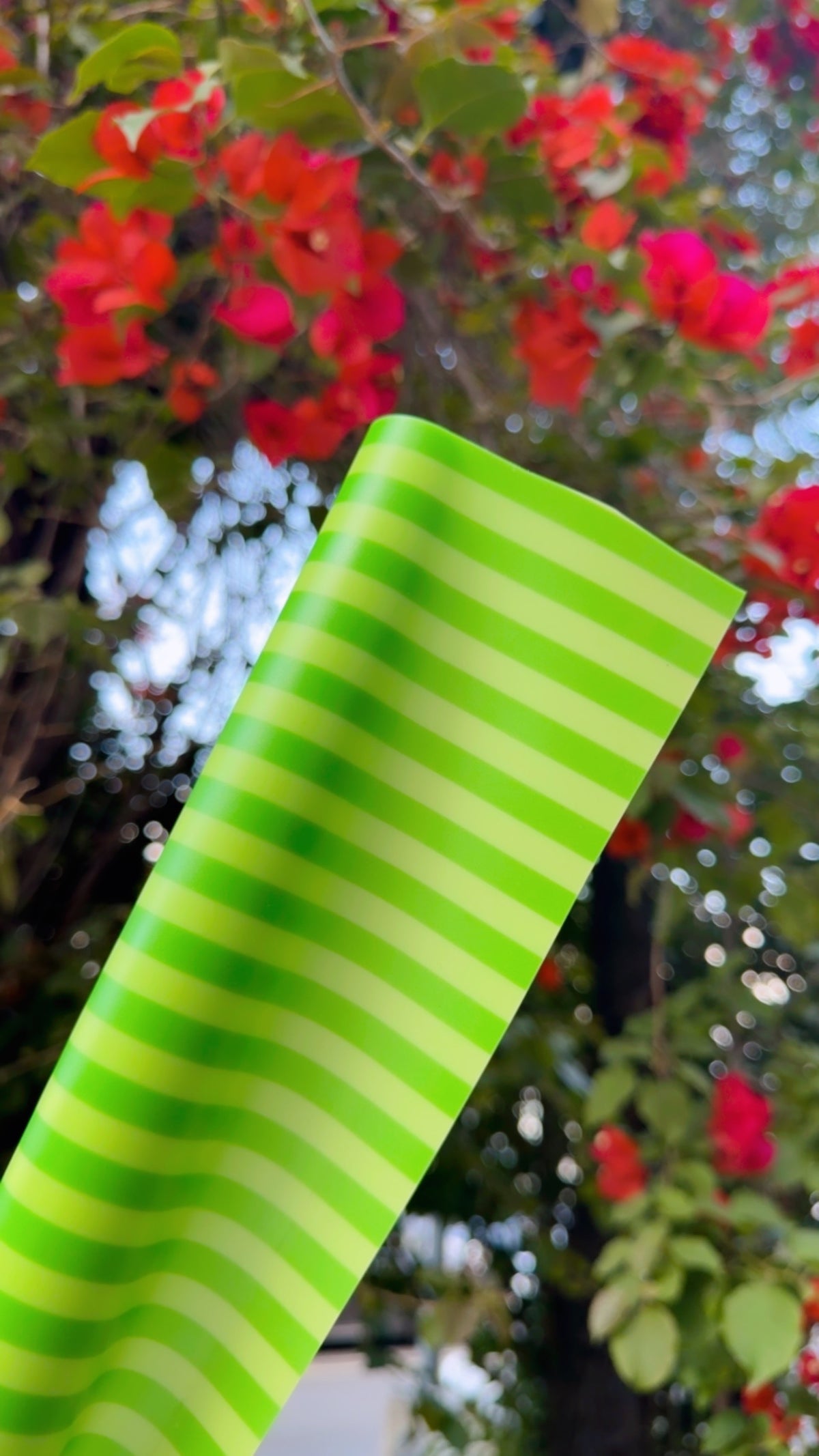 MICA GUMMY STRIPES