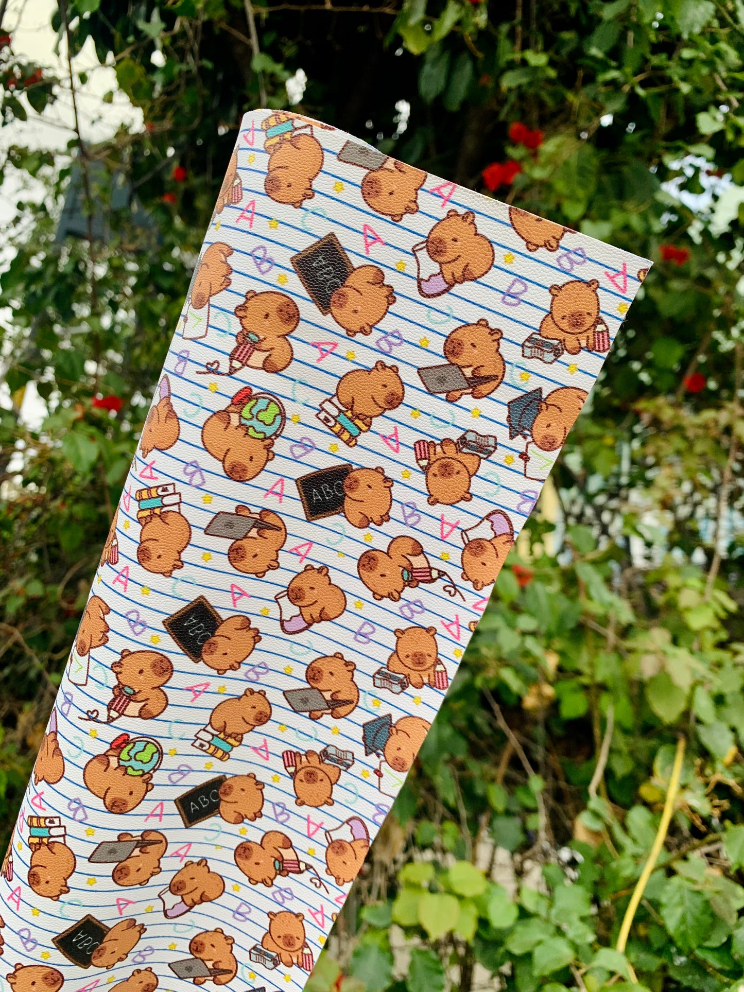 ESTAMPADO CAPIBARA