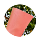 SINTETICO LICHI 1