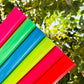 CHAROL NEON